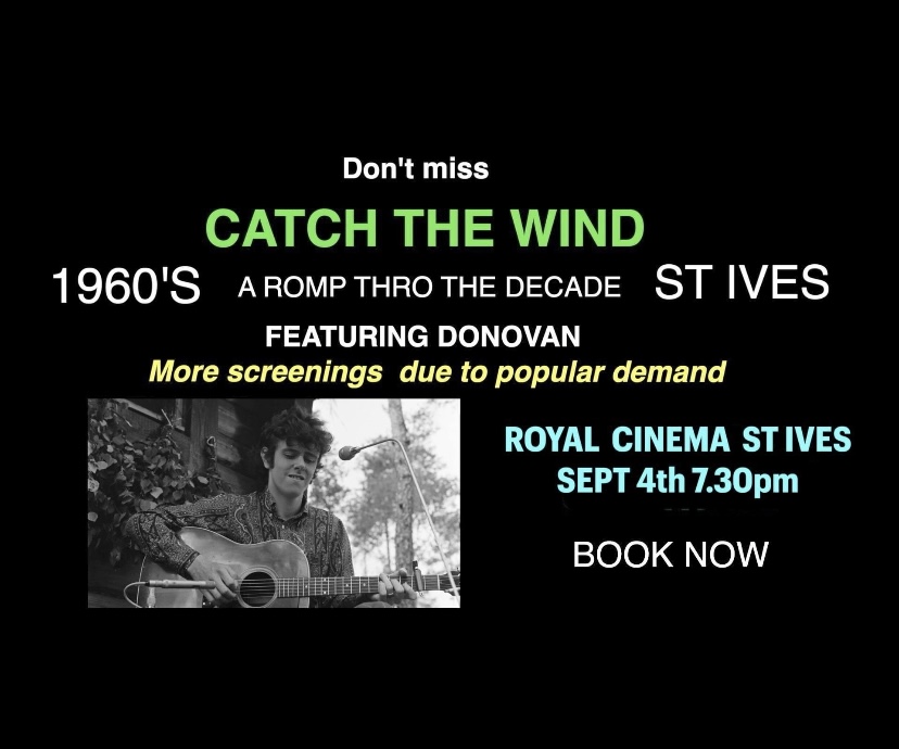 Catch the Wind movie
